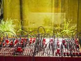 Foto_Angela_Kroell_4210068.jpg