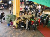 Foto_Angela_Kroell_4210058.jpg
